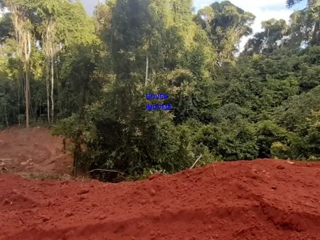 Imagem 7: CHÁCARA 7 MILM², ESCRITURADA, ACEITA VEICULO, ESTUDA PERMUTA OU PARCELAMENTO C