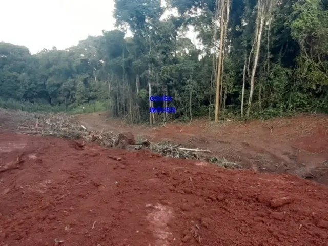 Imagem 16: CHÁCARA 7 MILM², ESCRITURADA, ACEITA VEICULO, ESTUDA PERMUTA OU PARCELAMENTO C