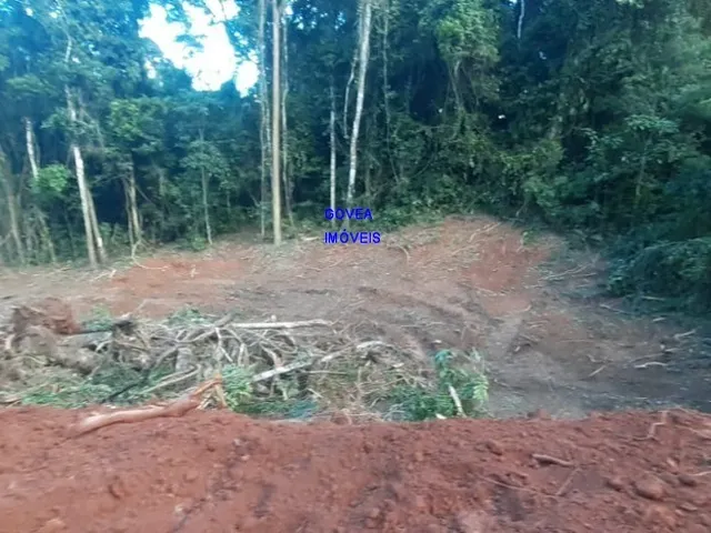 Imagem 14: CHÁCARA 7 MILM², ESCRITURADA, ACEITA VEICULO, ESTUDA PERMUTA OU PARCELAMENTO C