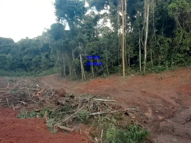 Imagem 2: CHÁCARA 7 MILM², ESCRITURADA, ACEITA VEICULO, ESTUDA PERMUTA OU PARCELAMENTO C