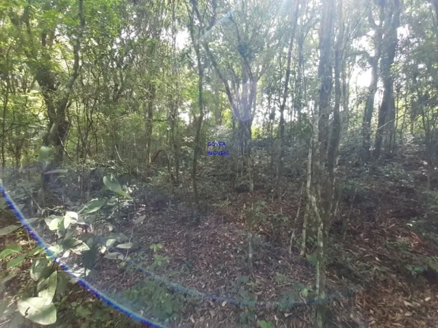 Imagem 4: CHÁCARA 7 MILM², ESCRITURADA, ACEITA VEICULO, ESTUDA PERMUTA OU PARCELAMENTO C
