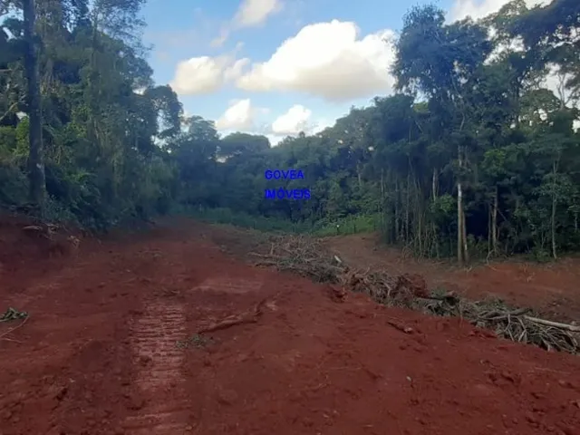 Imagem: CHÁCARA 7 MILM², ESCRITURADA, ACEITA VEICULO