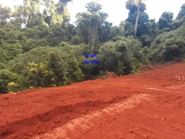 Imagem 12: CHÁCARA 7 MILM², ESCRITURADA, ACEITA VEICULO, ESTUDA PERMUTA OU PARCELAMENTO C
