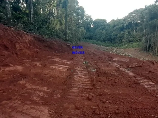 Imagem 9: CHÁCARA 7 MILM², ESCRITURADA, ACEITA VEICULO, ESTUDA PERMUTA OU PARCELAMENTO C