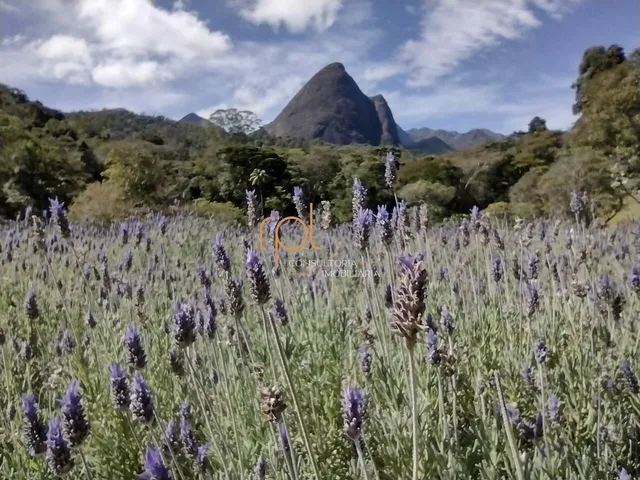 Imagem 16: Terreno À Venda no Bairro Corrêas - Petrópolis/Rj