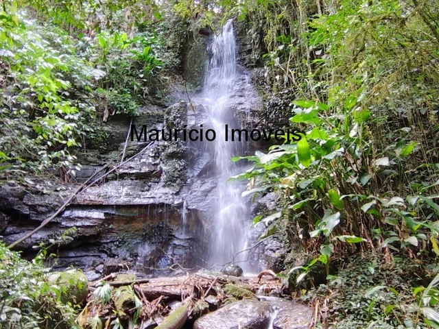 Imagem 3: Sitio com 4,5 hectares, localidade de Bela Vista, Taió, S.C. com uma cachoeira, casa de