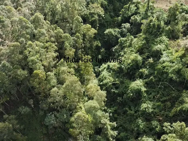 Imagem 10: Sitio com 4,5 hectares, localidade de Bela Vista, Taió, S.C. com uma cachoeira, casa de