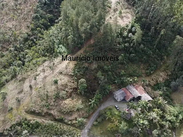 Imagem 16: Sitio com 4,5 hectares, localidade de Bela Vista, Taió, S.C. com uma cachoeira, casa de