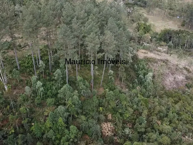 Imagem 15: Sitio com 4,5 hectares, localidade de Bela Vista, Taió, S.C. com uma cachoeira, casa de