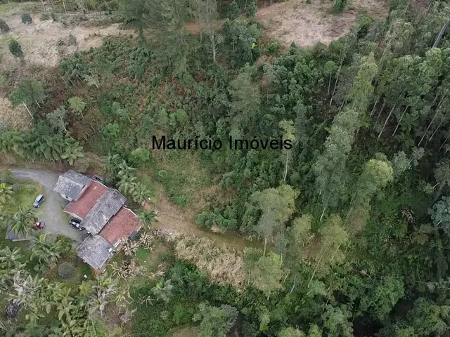 Imagem 7: Sitio com 4,5 hectares, localidade de Bela Vista, Taió, S.C. com uma cachoeira, casa de