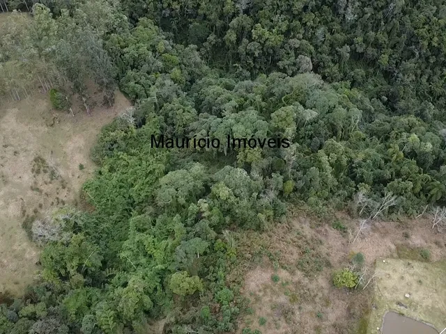 Imagem 4: Sitio com 4,5 hectares, localidade de Bela Vista, Taió, S.C. com uma cachoeira, casa de