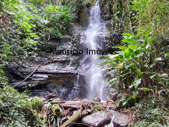 Imagem 5: Sitio com 4,5 hectares, localidade de Bela Vista, Taió, S.C. com uma cachoeira, casa de
