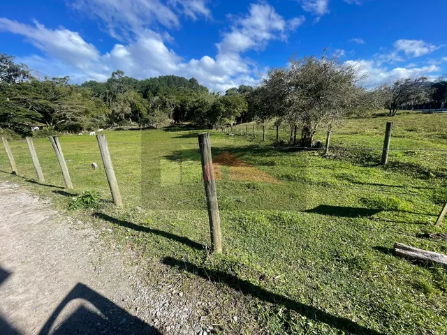 Imagem 4: Terreno à venda no bairro Ratones, Florianópolis/SC