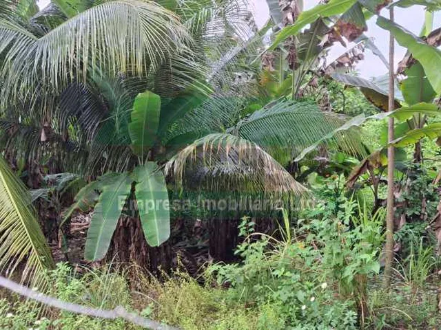 Imagem 6: Casa : / Comercial / Parque Dez de Novembro