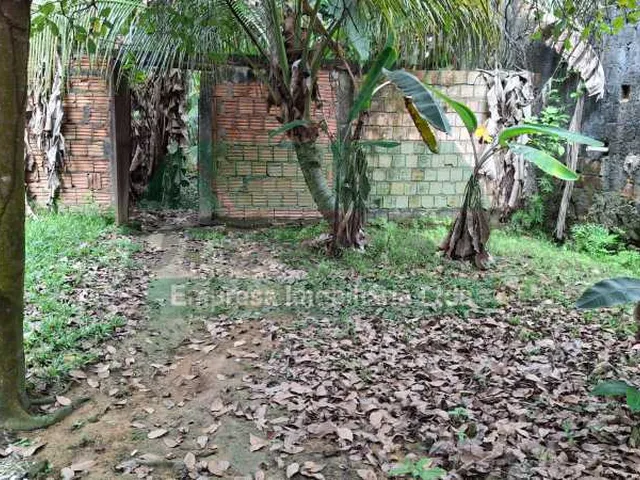 Imagem 15: Casa : / Comercial / Parque Dez de Novembro