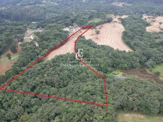 Imagem: Chácara à venda em Quatro Barras, PALMITALZINHO