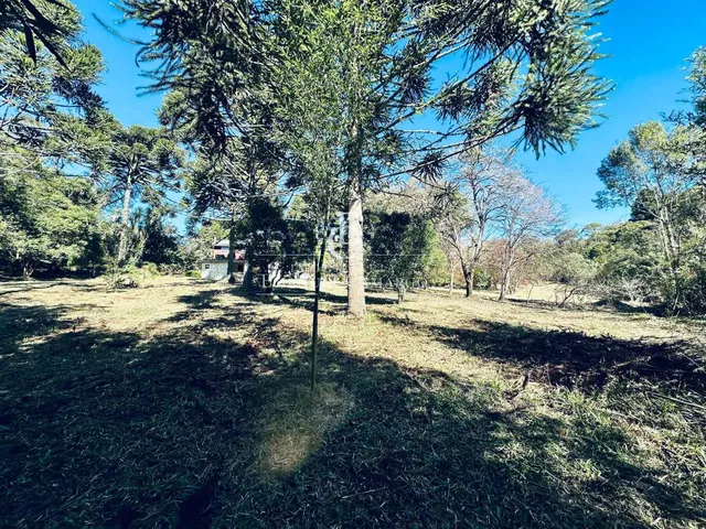 Imagem 3: Chácara à venda em Piraquara, Planta Meireles, com 3 quartos, 22450m²