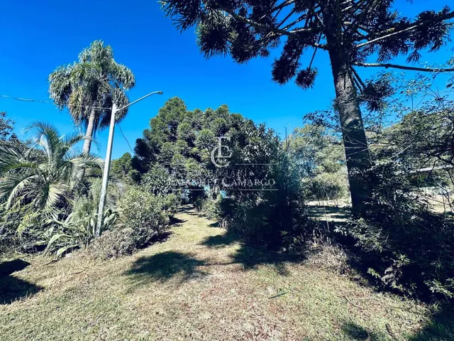 Imagem 9: Chácara à venda em Piraquara, Planta Meireles, com 3 quartos, 22450m²