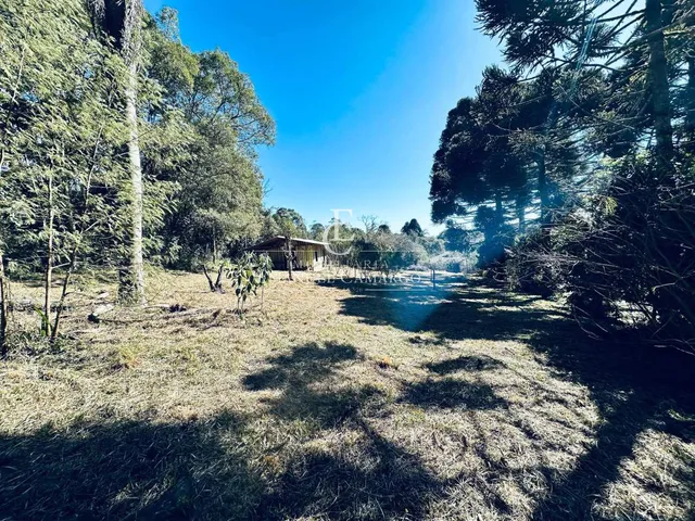 Imagem 12: Chácara à venda em Piraquara, Planta Meireles, com 3 quartos, 22450m²