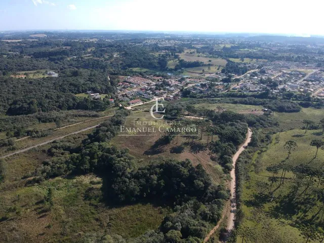 Imagem 1: Área à venda em Piraquara, Roça Nova, 20.000m²