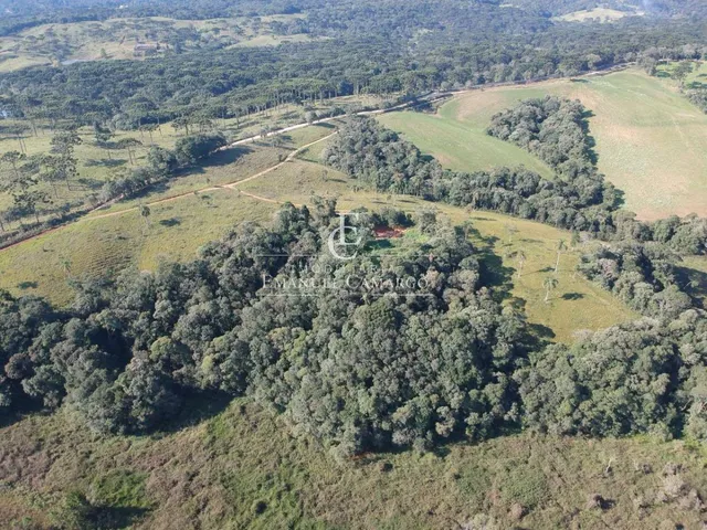 Imagem 14: Área à venda em Piraquara, Roça Nova, 20.000m²
