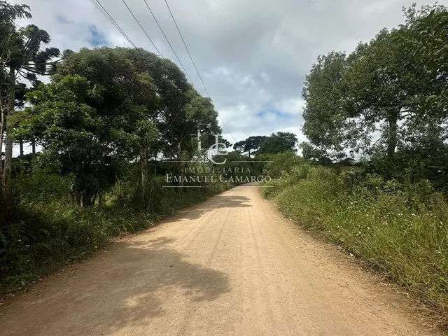 Imagem 2: Área à venda em Piraquara, Roça Nova, 20.000m²