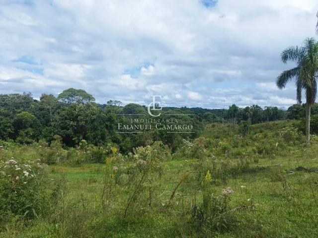 Imagem 15: Área à venda em Piraquara, Roça Nova, 20.000m²