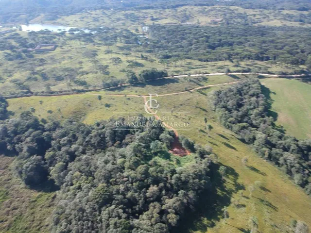 Imagem 8: Área à venda em Piraquara, Roça Nova, 20.000m²