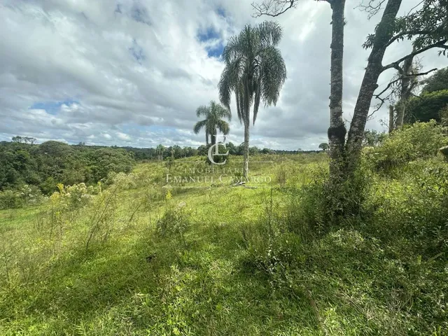 Imagem 4: Área à venda em Piraquara, Roça Nova, 20.000m²