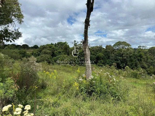 Imagem 6: Área à venda em Piraquara, Roça Nova, 20.000m²