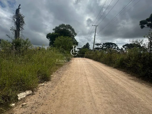 Imagem 7: Área à venda em Piraquara, Roça Nova, 20.000m²