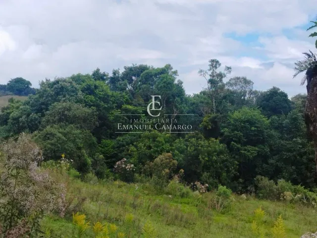 Imagem 16: Área à venda em Piraquara, Roça Nova, 20.000m²