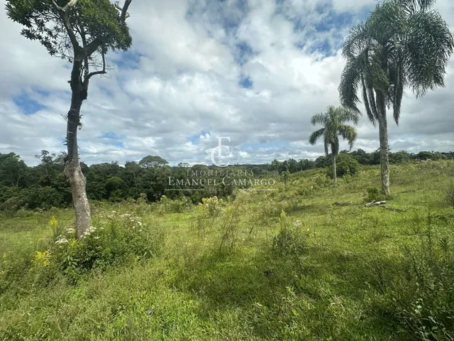 Imagem 9: Área à venda em Piraquara, Roça Nova, 20.000m²