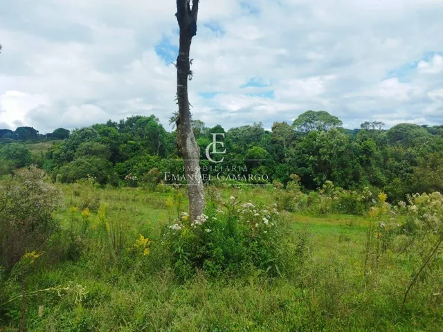 Imagem 10: Área à venda em Piraquara, Roça Nova, 20.000m²