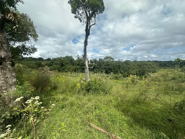 Imagem 11: Área à venda em Piraquara, Roça Nova, 20.000m²