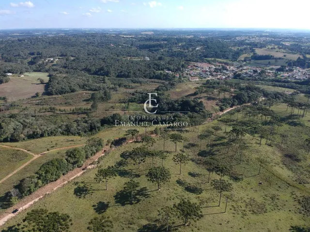 Imagem 12: Área à venda em Piraquara, Roça Nova, 20.000m²