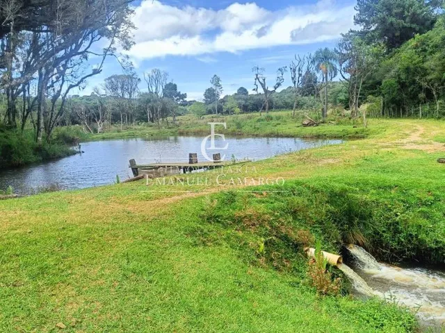 Imagem: Chácara à venda em Piraquara, Roça Nova