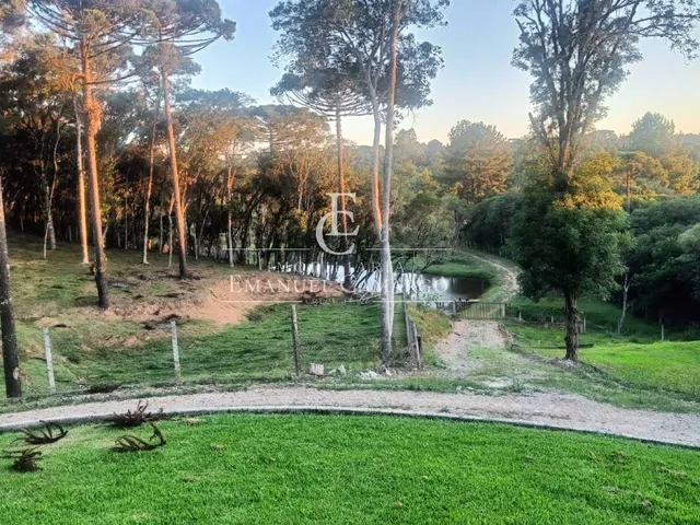 Imagem 2: Chácara à venda em Piraquara, Roça Nova, com 3 quartos, 220m²
