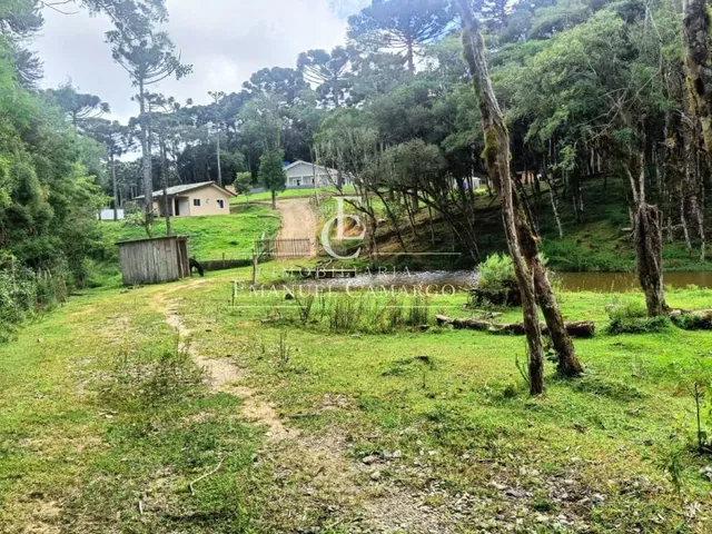 Imagem 4: Chácara à venda em Piraquara, Roça Nova, com 3 quartos, 220m²