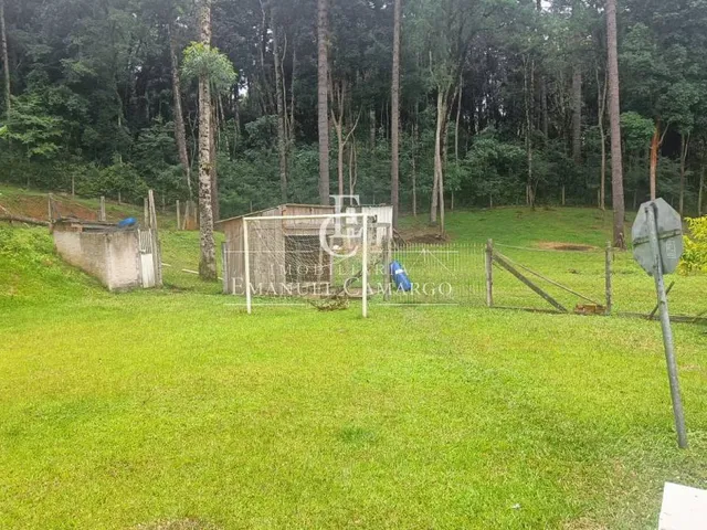 Imagem 8: Chácara à venda em Piraquara, Roça Nova, com 3 quartos, 220m²