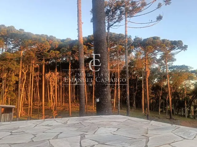 Imagem 6: Chácara à venda em Piraquara, Roça Nova, com 3 quartos, 220m²