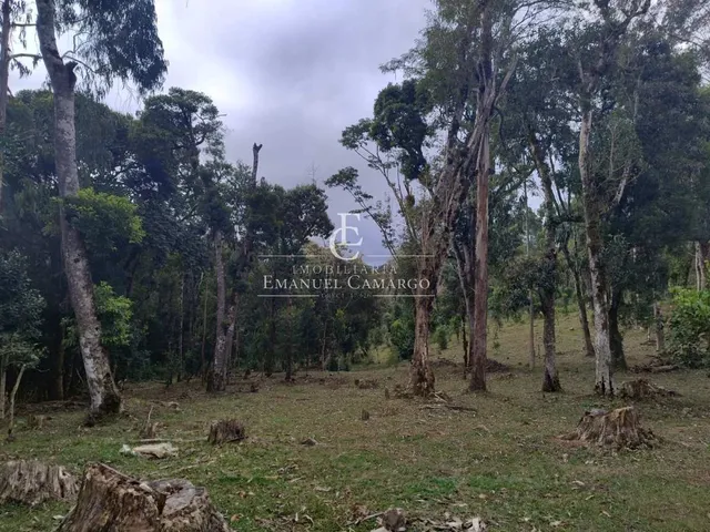 Imagem: Chácara à venda em Piraquara, Roça Nova
