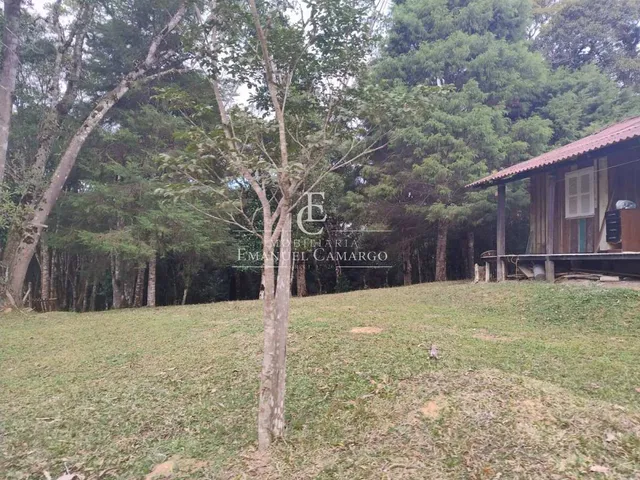 Imagem 7: Chácara à venda em Piraquara, Roça Nova, 20000m²