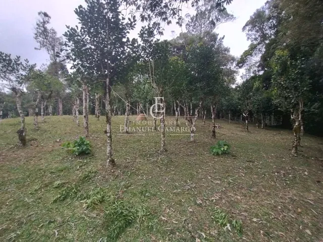 Imagem 2: Chácara à venda em Piraquara, Roça Nova, 20000m²
