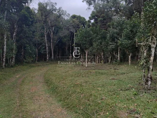 Imagem 3: Chácara à venda em Piraquara, Roça Nova, 20000m²