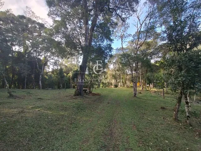 Imagem 4: Chácara à venda em Piraquara, Roça Nova, 20000m²