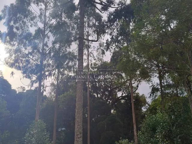 Imagem 6: Chácara à venda em Piraquara, Roça Nova, 20000m²