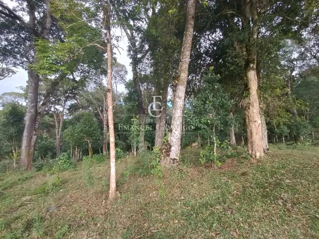 Imagem 8: Chácara à venda em Piraquara, Roça Nova, 20000m²