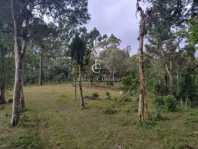 Imagem 9: Chácara à venda em Piraquara, Roça Nova, 20000m²