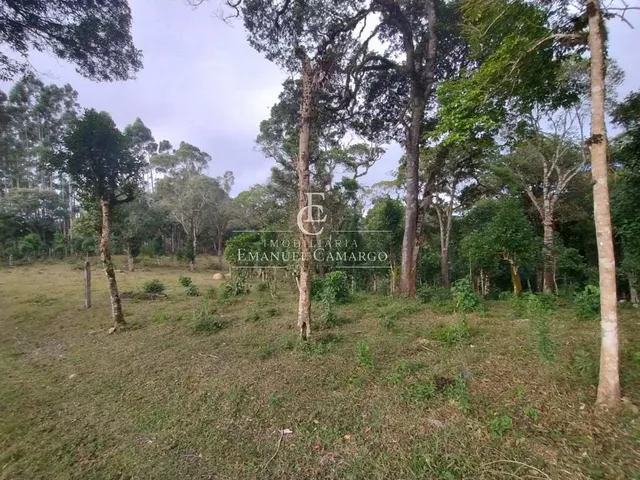 Imagem 10: Chácara à venda em Piraquara, Roça Nova, 20000m²